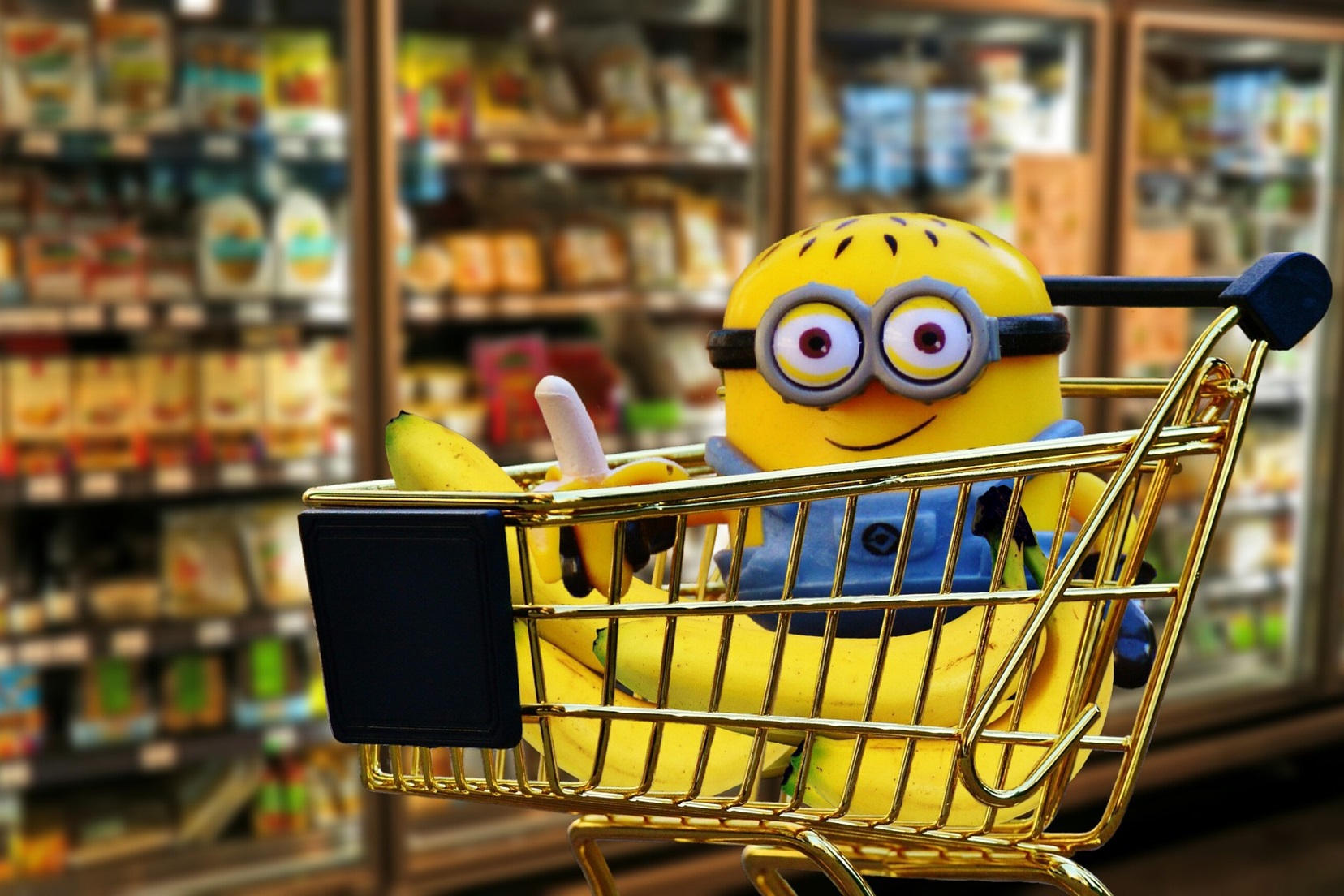 Alimentación La Alegría