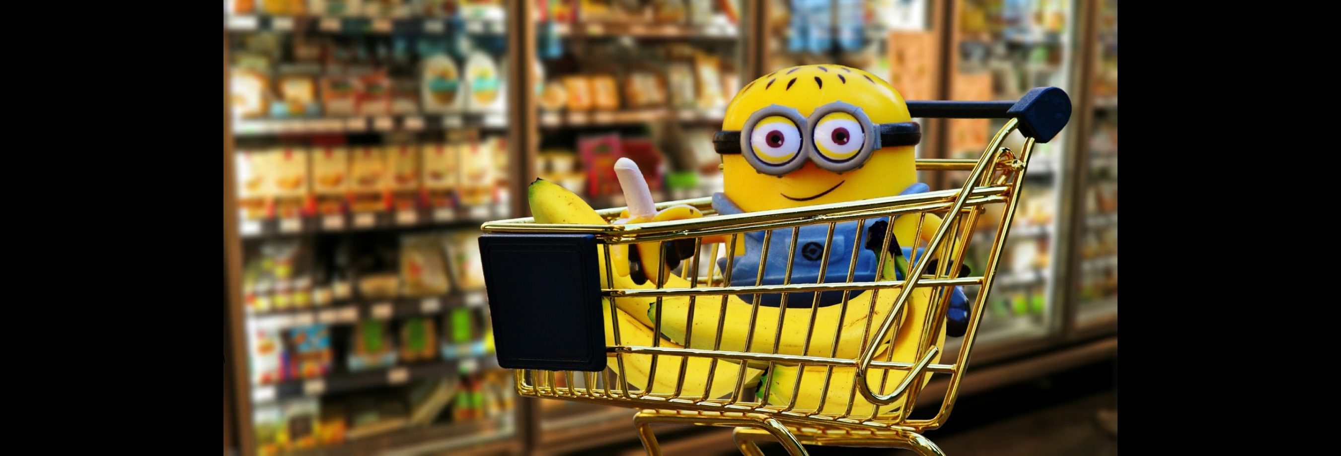 Alimentación La Alegría