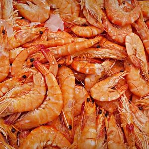 Gambas